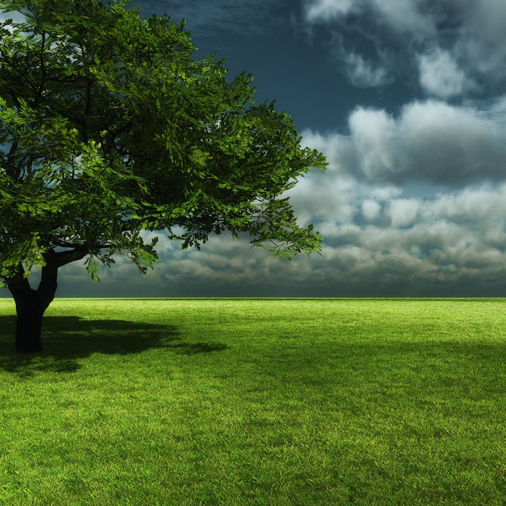 Green Nature Background and Theme