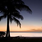 Palm Tree Sunset