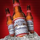 Budweiser