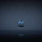 Apple Logo Reflection