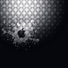 Apple Logo Splash