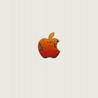 Apple Logo Crack