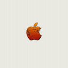 Apple Logo Crack