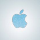 Apple Logo Frozen