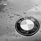 BMW Logo